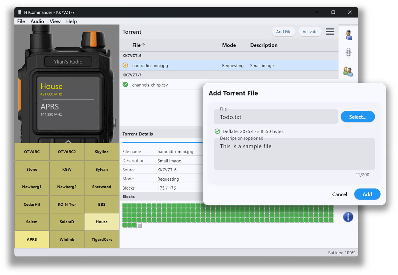 Torrent file transfer